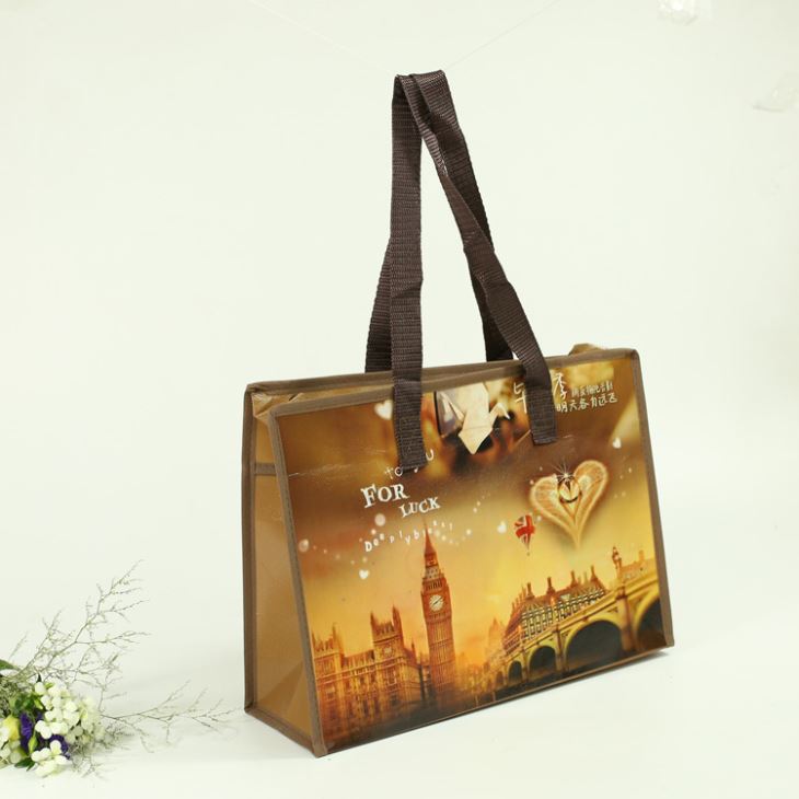 With Zipper Laminated Non Woven Bag Lunch Bag
