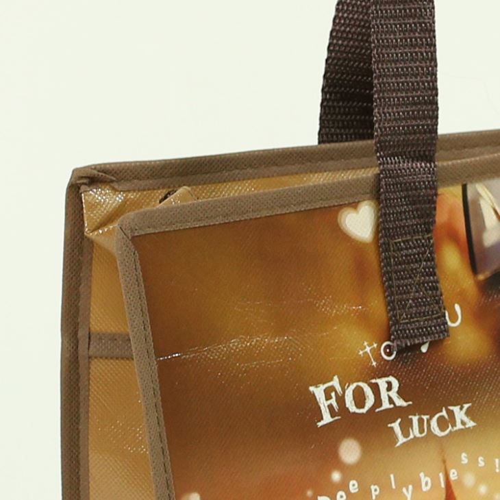 With Zipper Laminated Non Woven Bag Lunch Bag