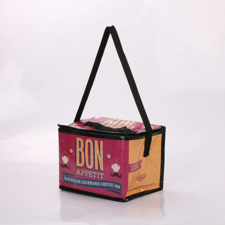 Pp Woven Insulated Cooler Bag