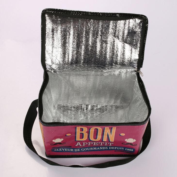 Pp Woven Insulated Cooler Bag